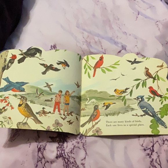 Golden Shape Book The Bird Book - Picture 3 of 4